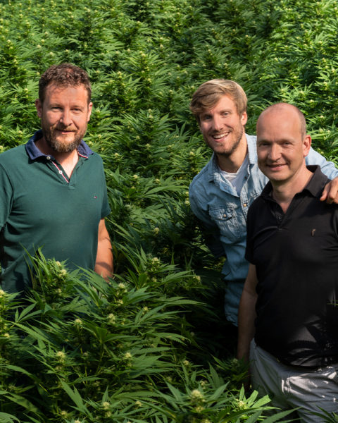 Team von Alpinols im Hanffeld