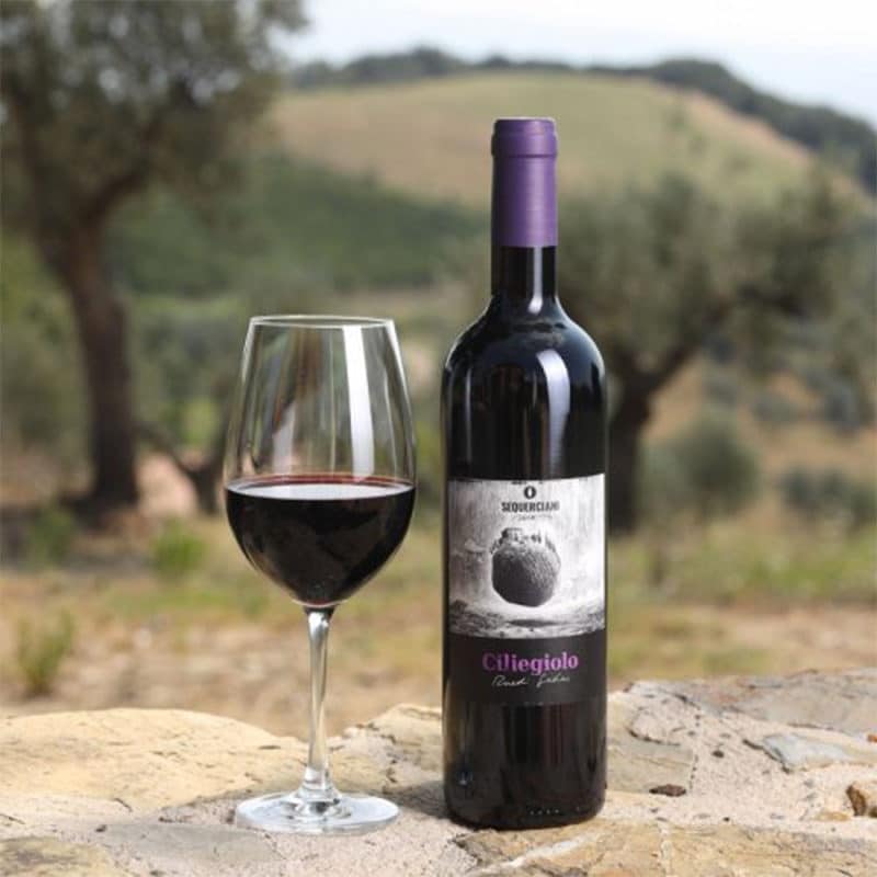 Ciliegiolo Flasche und eingeschenktes Glas auf Mauer im Olivenhain