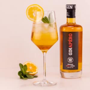 GinApéro in der Flasche und im Glas gemixt mit Eis, Pfefferminze und einem Schnitz Zitrone