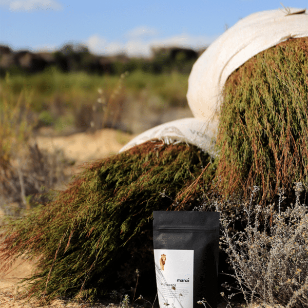 geernteter Rooibos in grossen Säcken