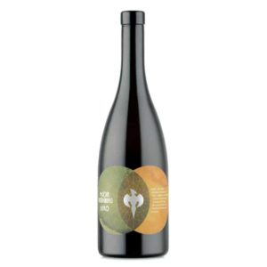 Aero Elementwein Luft von Ploder Rosenberg Naturwein mit gelb-grüner Etikette