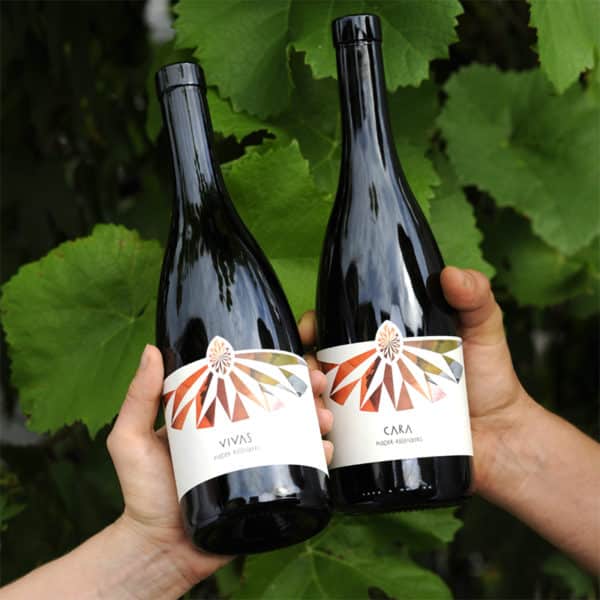 Cara und Vivas von Ploder Rosenberg vor Rebenblättern