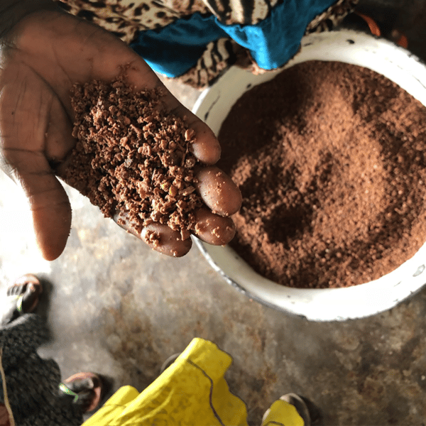 In einer Hand liegen die gemahlenen Shea Nüsse, darunter im Kübel das Pulver
